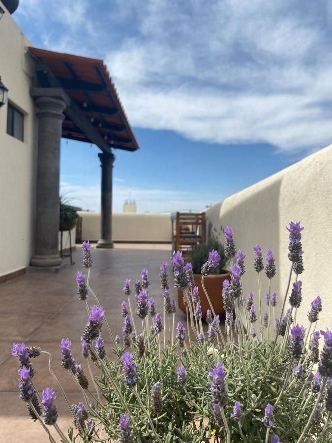 Hotel La Lejona San Miguel de Allende Zewnętrze zdjęcie